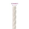 vidaXL Arbeitsseil Wei&szlig; 12 mm 100 m Polypropylen