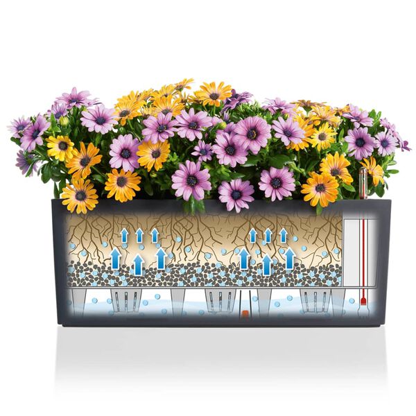 LECHUZA Blumenkasten Balconera Color 80 ALL-IN-ONE Schiefergrau 15683