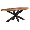 vidaXL Esstisch Oval 200x100x75 cm Altholz Massiv