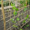 Nature Ranknetz Jute 1,8&times;5 m