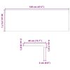 vidaXL Fensterb&auml;nke 2 Stk. Hellbraun 120x40x2 cm Massivholz Eiche