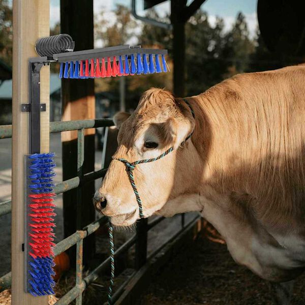 vidaXL Kühbürste Verstellbar Rot und Blau 84 x 10 x 91 cm PVC