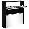 vidaXL Schuhschrank mit Spiegel 2 F&auml;cher Schwarz 63x17x67 cm