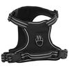 vidaXL Hundegeschirr mit Leine & Halsband Verstellbar Schwarz L