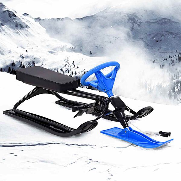vidaXL Schlitten Bob Schwarz und Blau