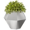 Produkt-Miniaturbild 3 von 12