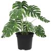 vidaXL Runder Blumentopf 6 pcs Schwarz &Oslash; 12,5 x 10 cm Kunststoff