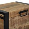 vidaXL Aufbewahrungstruhen Braun 40 x 30 x 30 cm Massivholz Mango