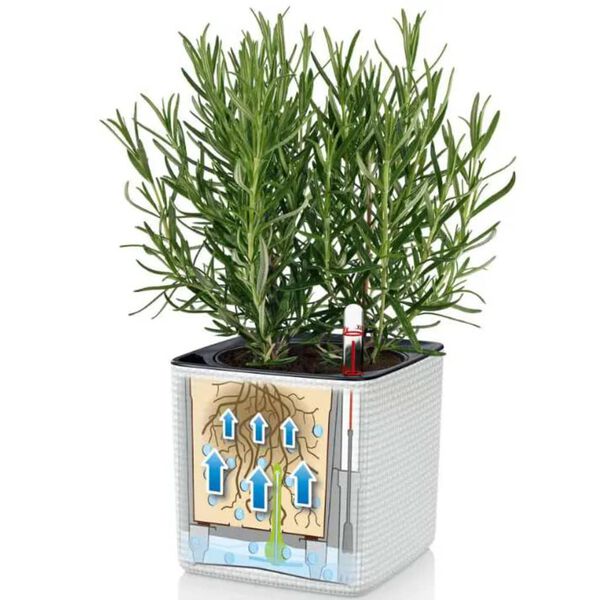 LECHUZA Pflanzgef&auml;&szlig;e 3 Stk. Green Wall Home Kit Wei&szlig;
