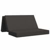 vidaXL Klappsofa Bett 160 x 67 x 45 cm Dunkelgrau