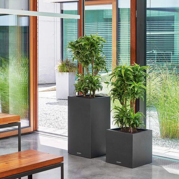 LECHUZA Pflanzgef&auml;&szlig; CANTO Stone 40 High ALL-IN-ONE Graphitschwarz
