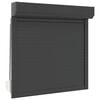 vidaXL Rollladen Anthrazit 100 x 100 cm Aluminium und Polyurethan