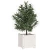 Produkt-Miniaturbild 3 von 8