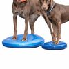 FitPAWS Balance-Scheibe f&uuml;r Haustiere 36 cm Blau