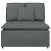 vidaXL Modulares Sofa Mittelmodul mit Kissen Dunkelgrau 100 cm
