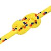 vidaXL Bootsseil Gelb 6 mm 100 m Polypropylen