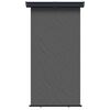 vidaXL Balkon Seitenmarkise 170 x 250 cm 100% Polyester Eisen Stahl