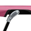 vidaXL Doppelliege Klappbar Rosa Stahl