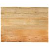 vidaXL Tischplatte mit Baumkante 80x60x2,5 cm Massivholz Mango