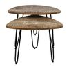 HSM Collection 2-tlg. Couchtisch-Set Dexter