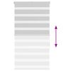 vidaXL Doppelrollo Hellgrau 75x100 cm Stoffbreite 70,9 cm Polyester