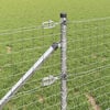 Produkt-Miniaturbild 4 von 12