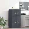vidaXL Aufbewahrungsschrank Anthrazit 60 x 40 x 40 cm Stahl