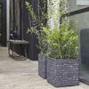 Capi Blumentopf Nature Row Quadratisch 30x30 cm Anthrazit KRWZ902