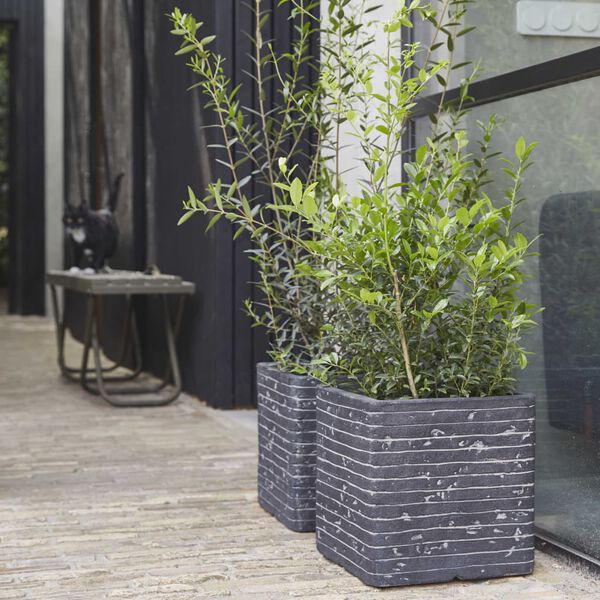 Capi Blumentopf Nature Row Quadratisch 30x30 cm Anthrazit KRWZ902