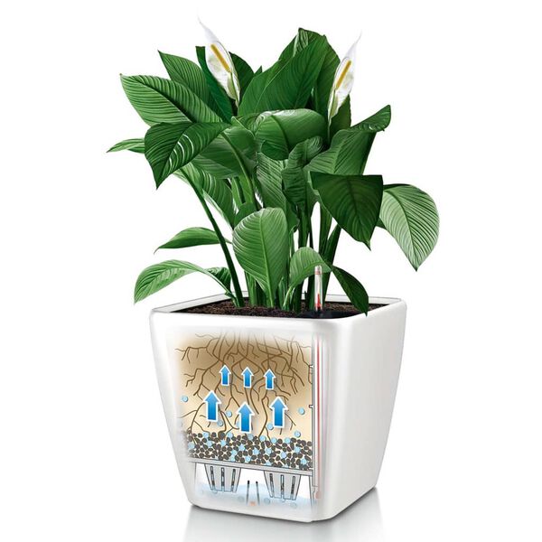 LECHUZA Blumentopf QUADRO LS 35 ALL-IN-ONE Set Hochglanz-Wei&szlig; 16160