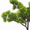 Produkt-Miniaturbild 4 von 7