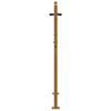 vidaXL Gartentor 100x150 cm Cortenstahl Gras-Design