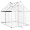 vidaXL Gew&auml;chshaus mit Fundamentrahmen Silber 224x169x195cm Aluminimum