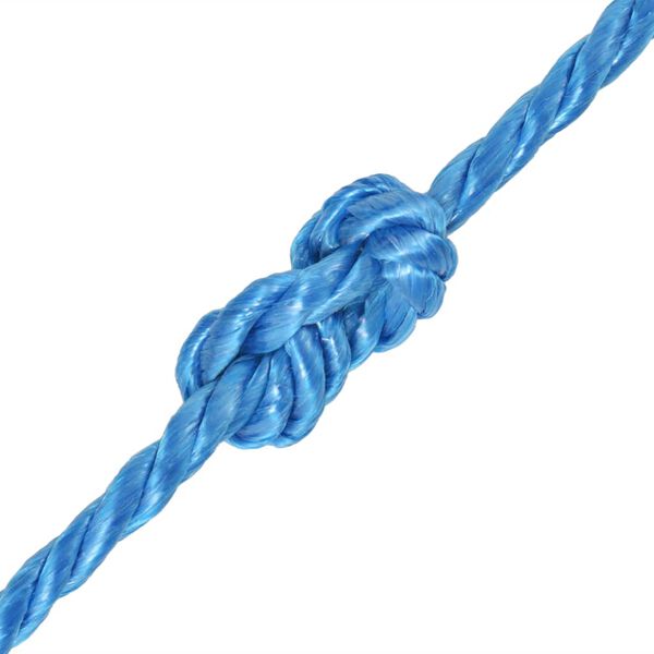 vidaXL Polypropylenseil 12 mm 100 m Blau