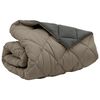 vidaXL Winterbettdecke Hellgrau und Anthrazit 240 x 260 cm Mikrofaser