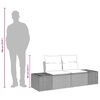 vidaXL Gartensofa mit Kissen Schwarz 184 x 62 x 69 cm Poly-Rattan
