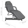 vidaXL Massagetisch Grau 180x62x(87-112) cm