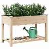 vidaXL Garten-Pflanzgef&auml;&szlig; mit Regal Beige 115 x 59 x 76,5 cm