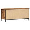 vidaXL TV-Schr&auml;nk Altholz 100 x 35 x 45 cm Holzwerkstoff