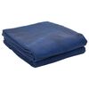 vidaXL Zeltteppich Blau 250 x 250 cm Polyester