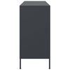 vidaXL Sideboard Anthrazit 100,5x39x79 cm Stahl