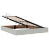 vidaXL Bett mit Stauraum und LED mit LED Hellgrau 180 x 200 cm Samt