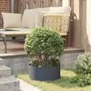 vidaXL Pflanzenring 5 pcs Anthrazit 40 x 40 x 20 cm