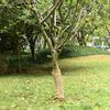 Produkt-Miniaturbild 2 von 7