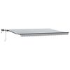 vidaXL Markise Manuell mit LEDs Anthrazit & Wei&szlig; 500x300 cm