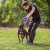 Ferplast Hunde-Spielring Puller Standard Lila 2 Stk.