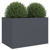 vidaXL Pflanzk&uuml;bel Anthrazit 62x40x39 cm Stahl