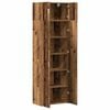 vidaXL Badschrank Altholz 70 x 42,5 x 225 cm Holzwerkstoff