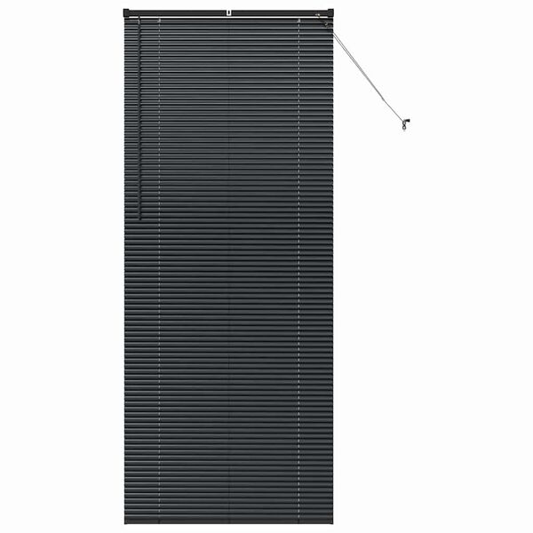 vidaXL Balkenjalousien Schwarz 220 x 85 cm Aluminium