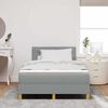vidaXL Boxspringbett mit Kissen Hellgrau 120 x 200 cm Stoff